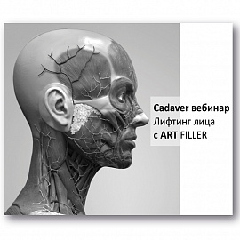 Cadaver вебинар «Лифтинг лица с ART FILLER»